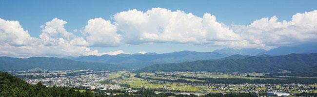 pct_ina_image